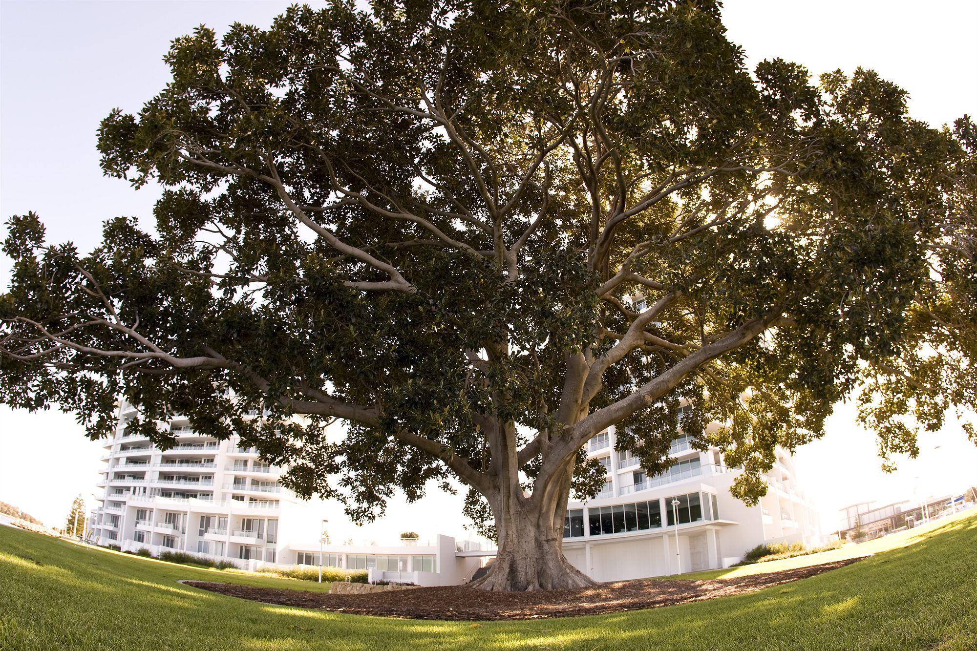 The Sebel Mandurah Hotel Exterior photo